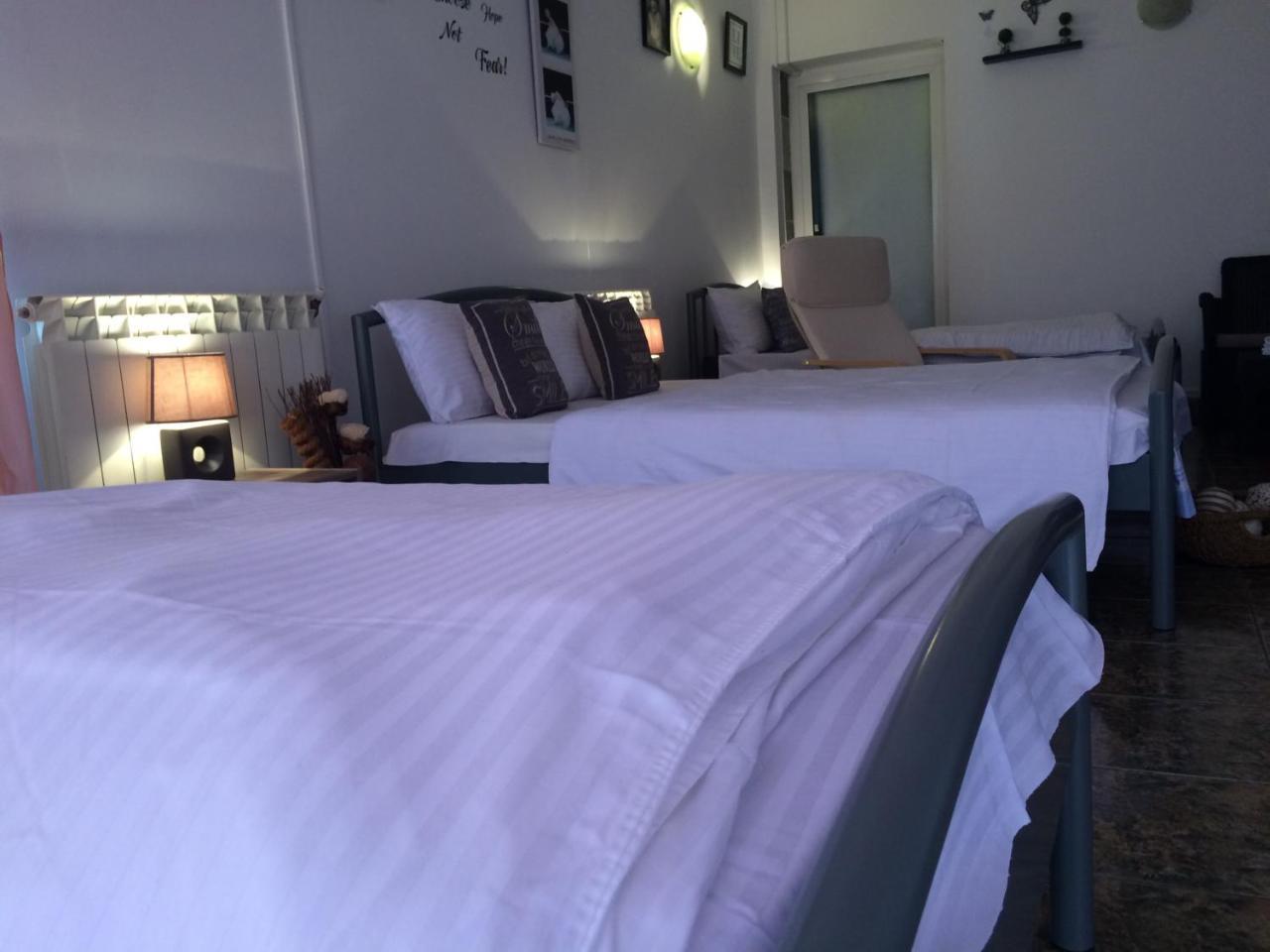 Casa Julius Ξενοδοχείο Κονστάντζα Εξωτερικό φωτογραφία